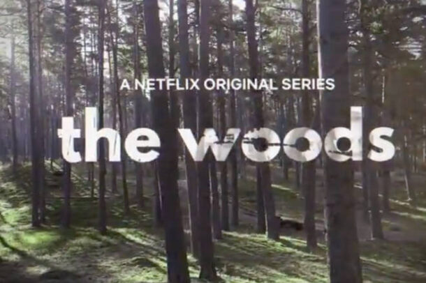 harlan coben netflix the woods