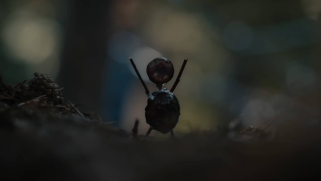 The Chestnut Man Series on Netflix Image of a creepy figure made of chestnuts